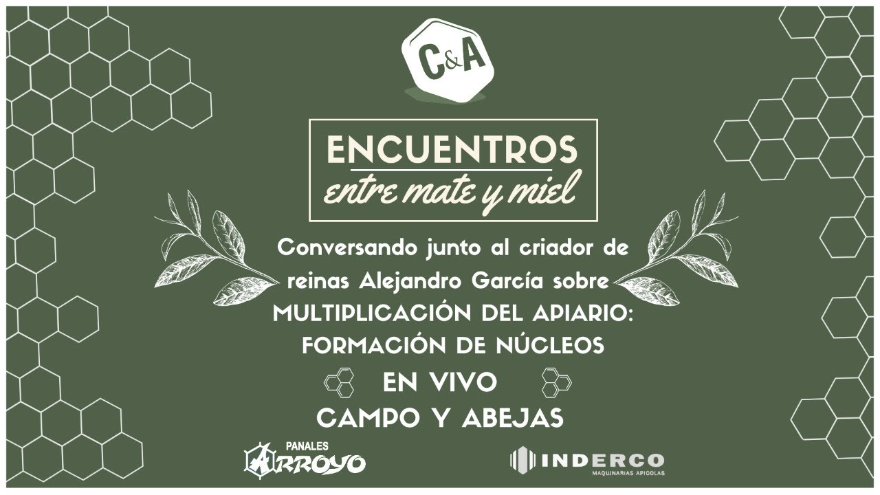 MULTIPLICACIÓN DEL APIARIO: FORMACIÓN DE NÚCLEOS - GRATIS Y EN VIVO!
