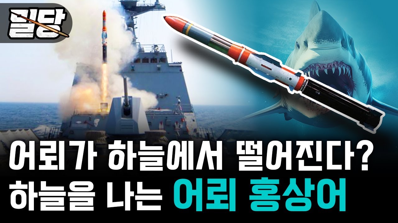 [밀당] 어뢰가 하늘에서 떨어진다? &middot;&middot;&middot; 하늘을 나는 어뢰 홍상어 #홍상어 #어뢰