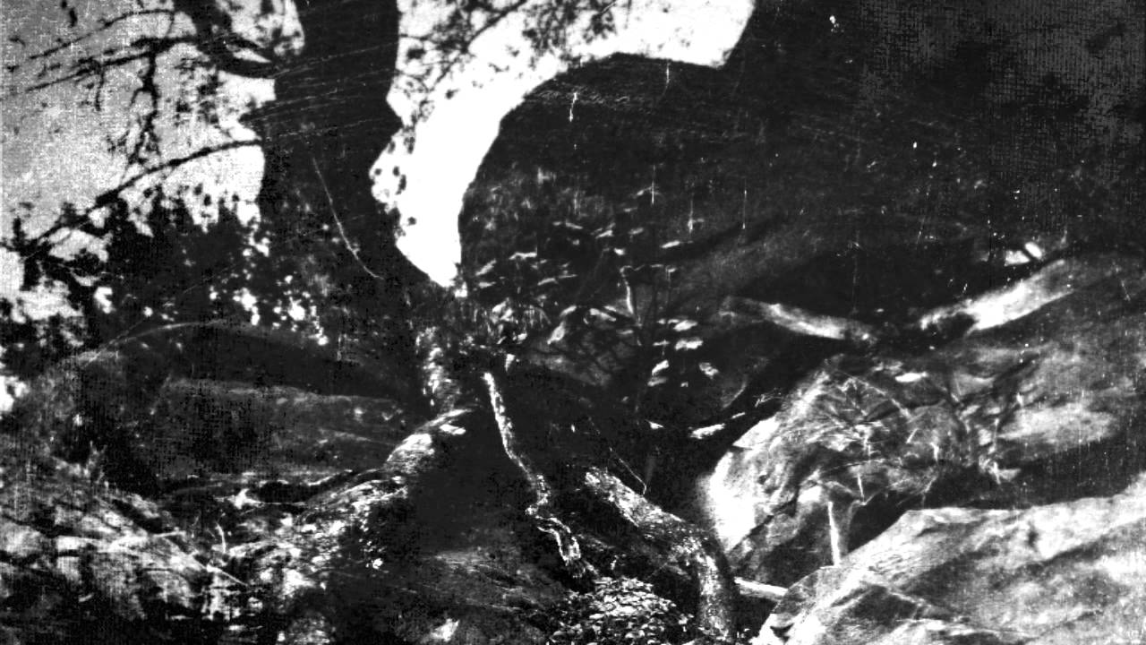 Arduinna - Samhain