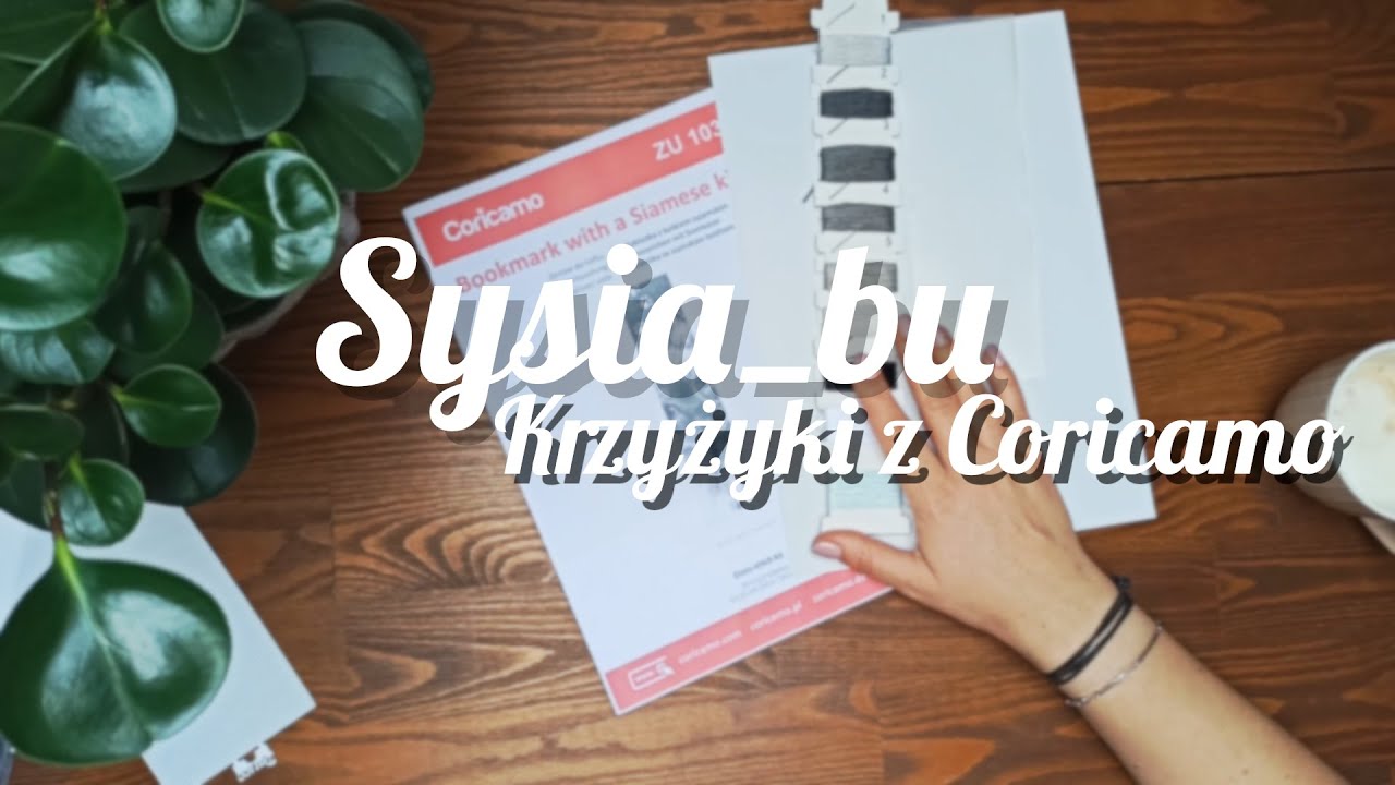 Moja nowa towarzyszka - aplikacja Coricamo |Sysia_bu #62