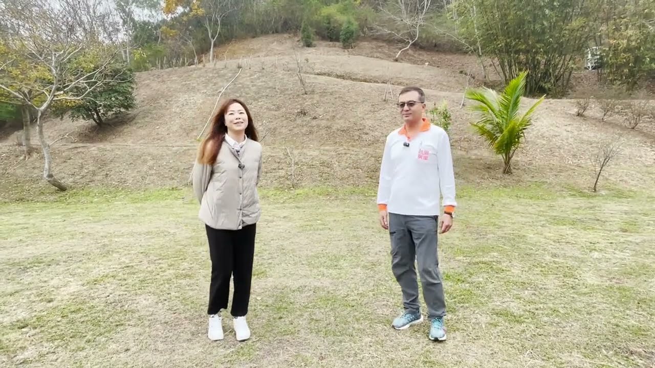 🔥免千萬就能住進渡假秘境➡️通霄地勢平坦超稀有818坪大地坪小木屋|回家像住民宿、種菜烤肉一次滿足｜慢活人生直接開啟🌿🏡0910569272安安#reels #8bit #home #小木屋 #渡假 