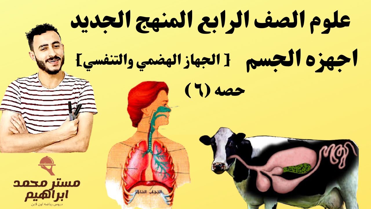 علوم الصف الرابع المنهج الجديد٢٠٢٢ | اجهزه الجسم | الجهاز الهضمي والتنفسي