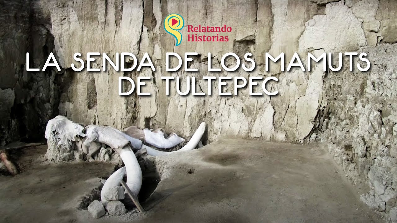 La Senda de los Mamuts de Tultepec, las trampas para cazar mamuts de Tultepec, Mamuts en Tultepec