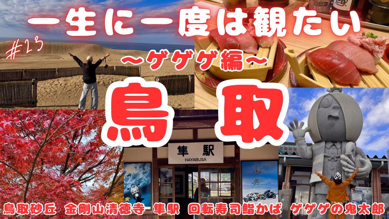 日本一周【ハイエース車中泊】道の駅グルメや鳥取の郷土料理も満載!鳥取砂丘でラクダと記念撮影!