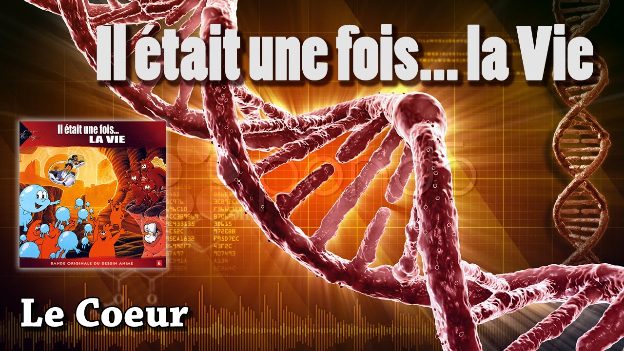 Le Coeur - Il était une fois... La Vie (HQ)