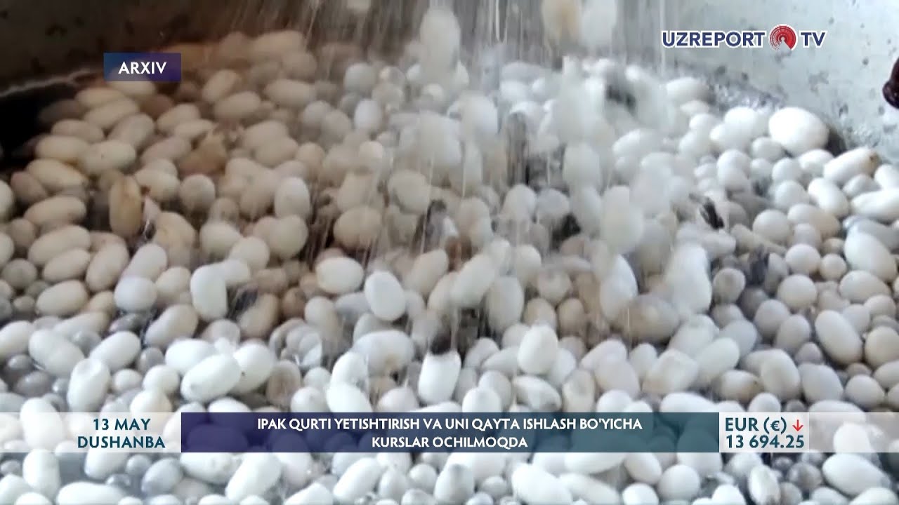 Ipak qurti yetishtirish va uni qayta ishlash bo‘yicha kurslar ochilmoqda
