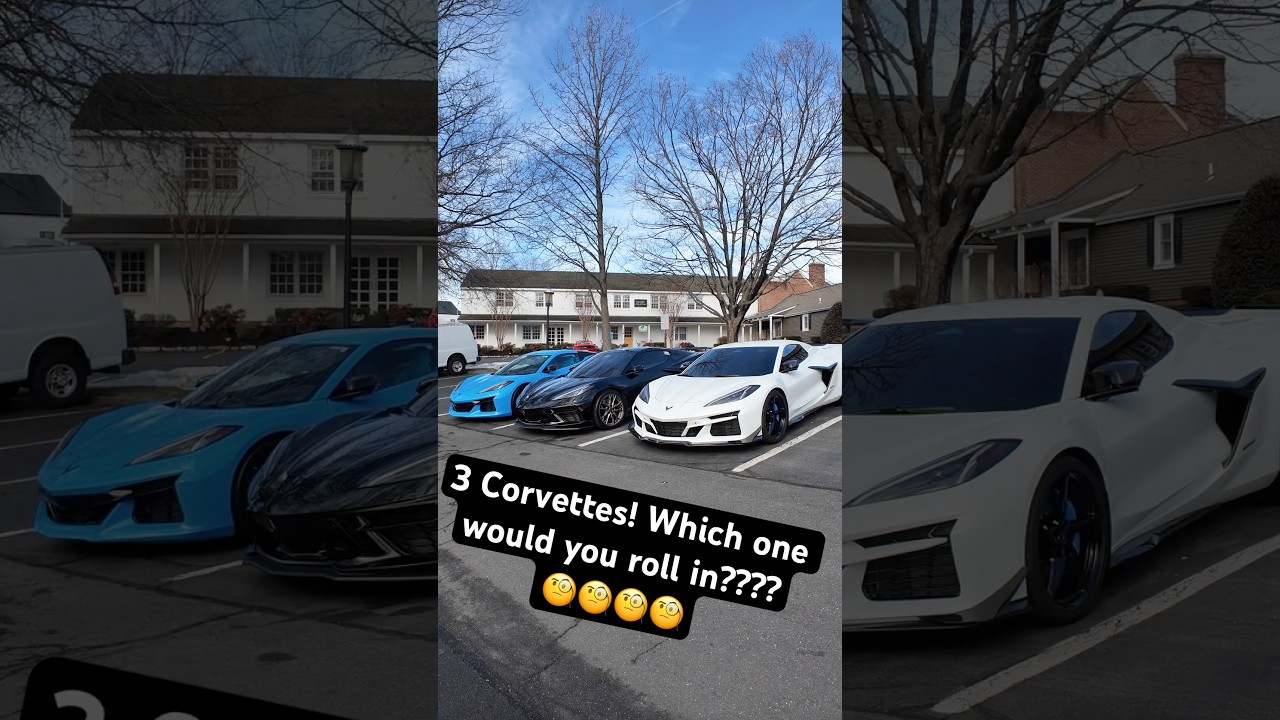3 Corvette Owners Compare: E-Ray vs C8 vs Z06 (Mods, Sound & Real Talk) #corvette