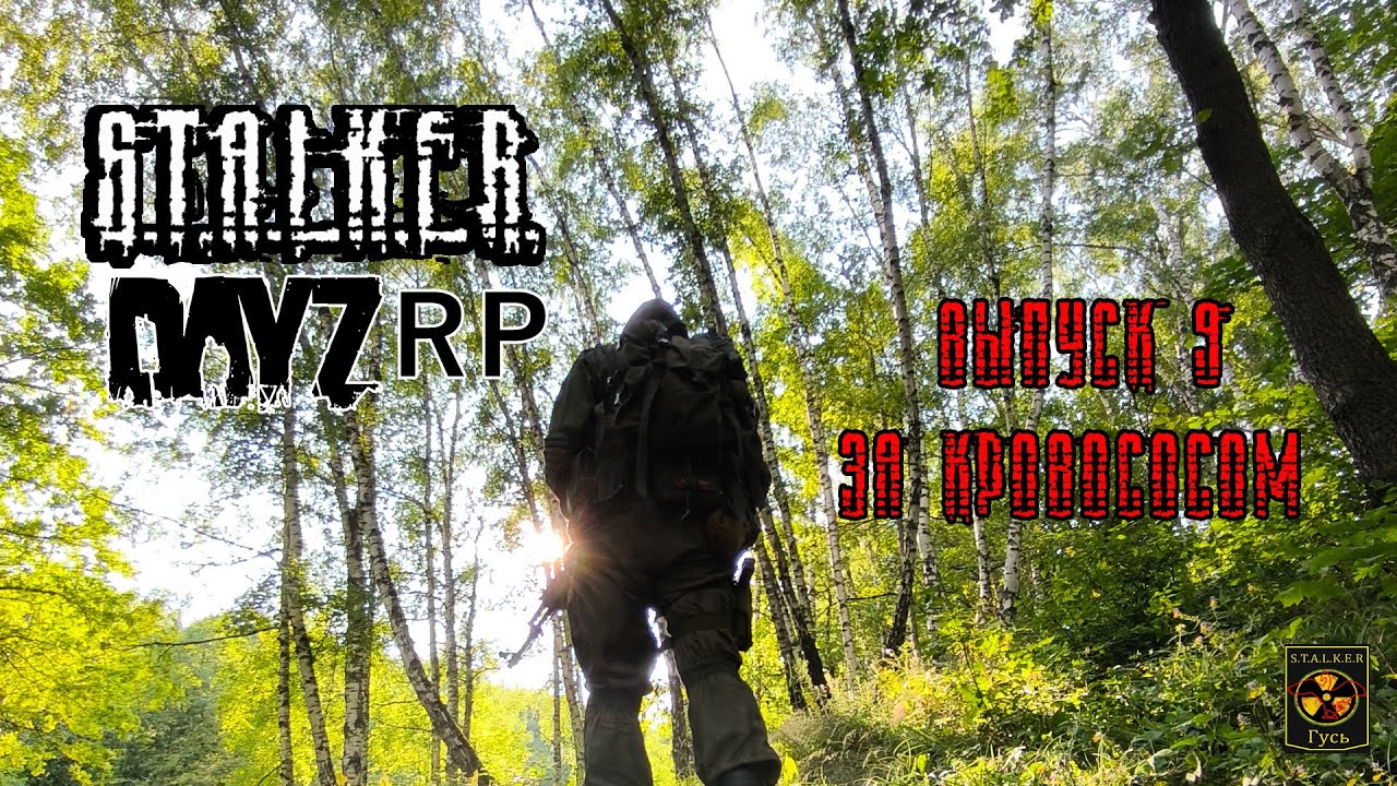 S.T.A.L.K.E.R. DayZ RP. (Выпуск 9 За кровососом)