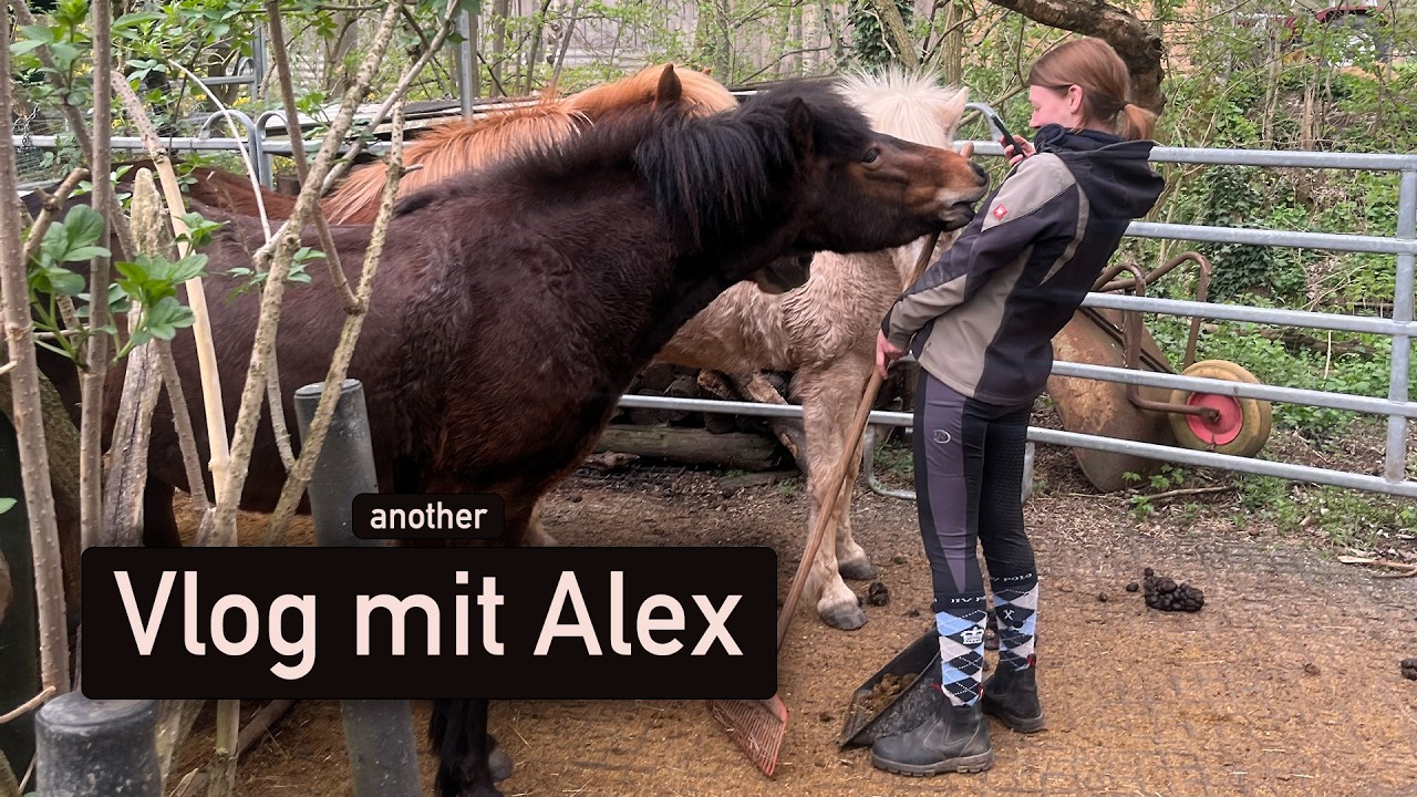 Join in the circus, stay for a dance | ALEX IST DA | Janas ViLögg