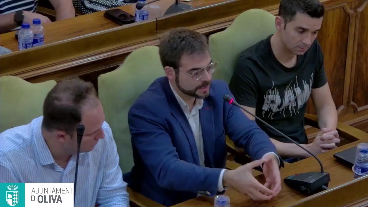Plenari ordinari octubre 2025