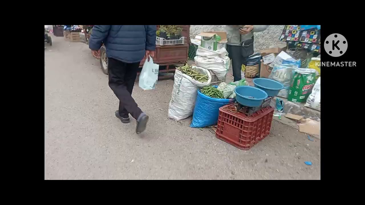 11 مارس 2026