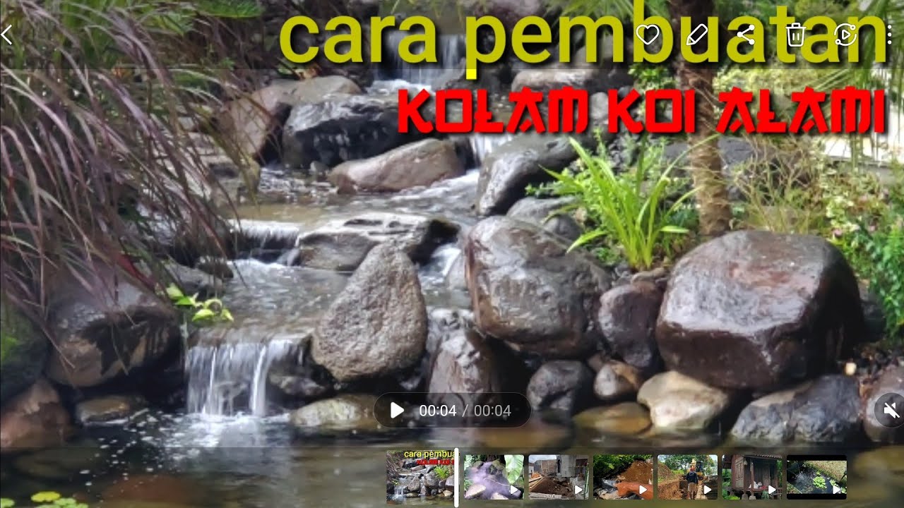 Proses pembuatan kolam koi alami mulai penggalian tanah sampai selesai