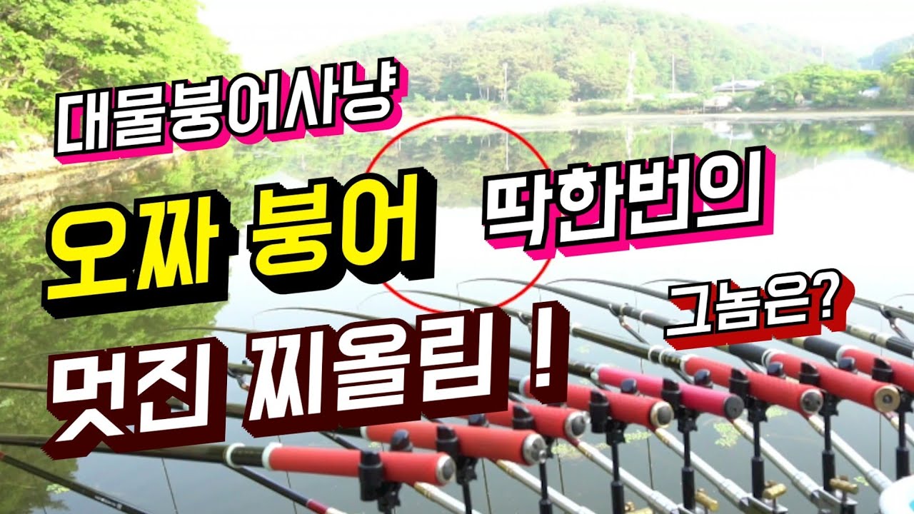 오짜터 오짜붕어 도전 / 3박째 딱한번의 멋진 찌올림 /  그놈의 정체는?