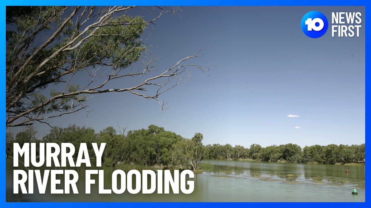 Murray River's Worst Flooding In 30 Years | 10 News First