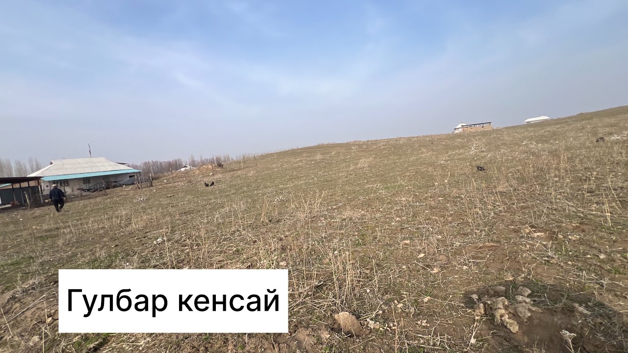 САТЫЛДы 
