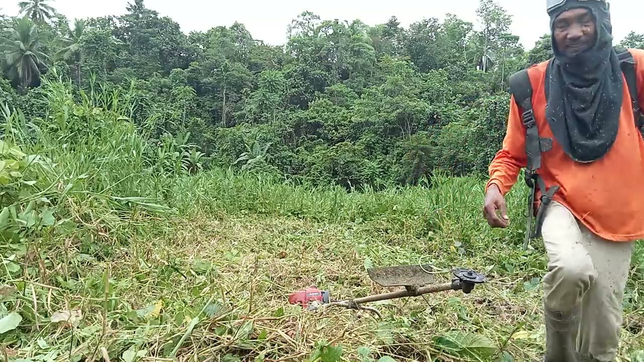 Magdadamo gamit ang Brush Cutter. 