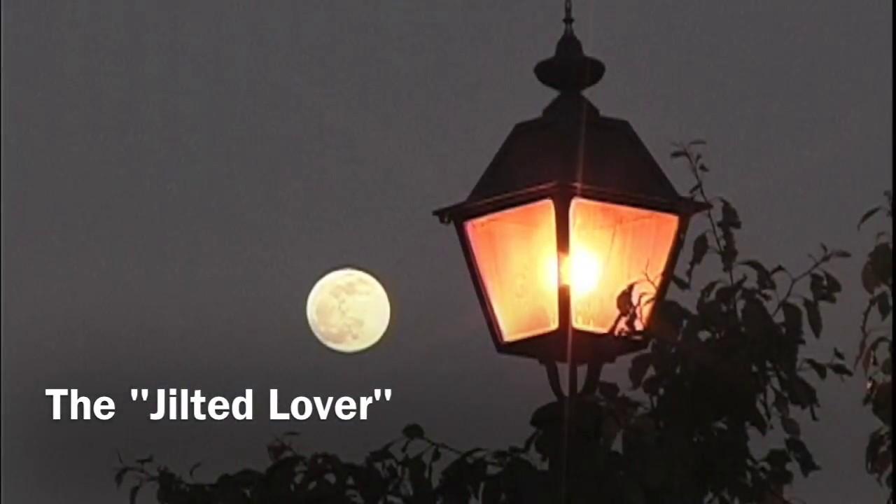 Jilted Lover
