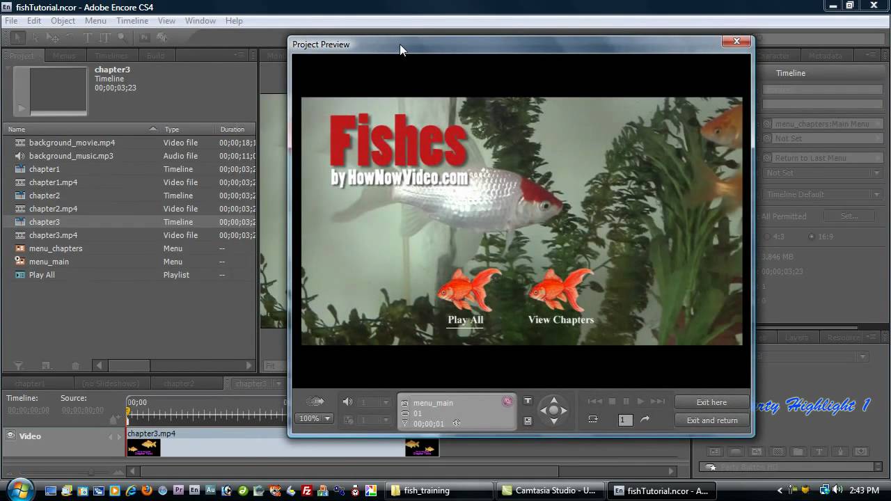Adobe Encore Advanced Motion Menus