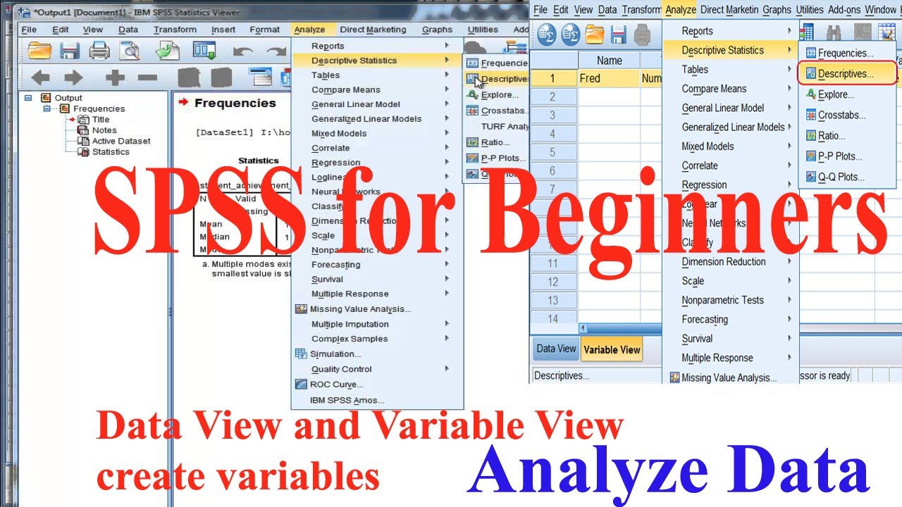 SPSS for Beginners