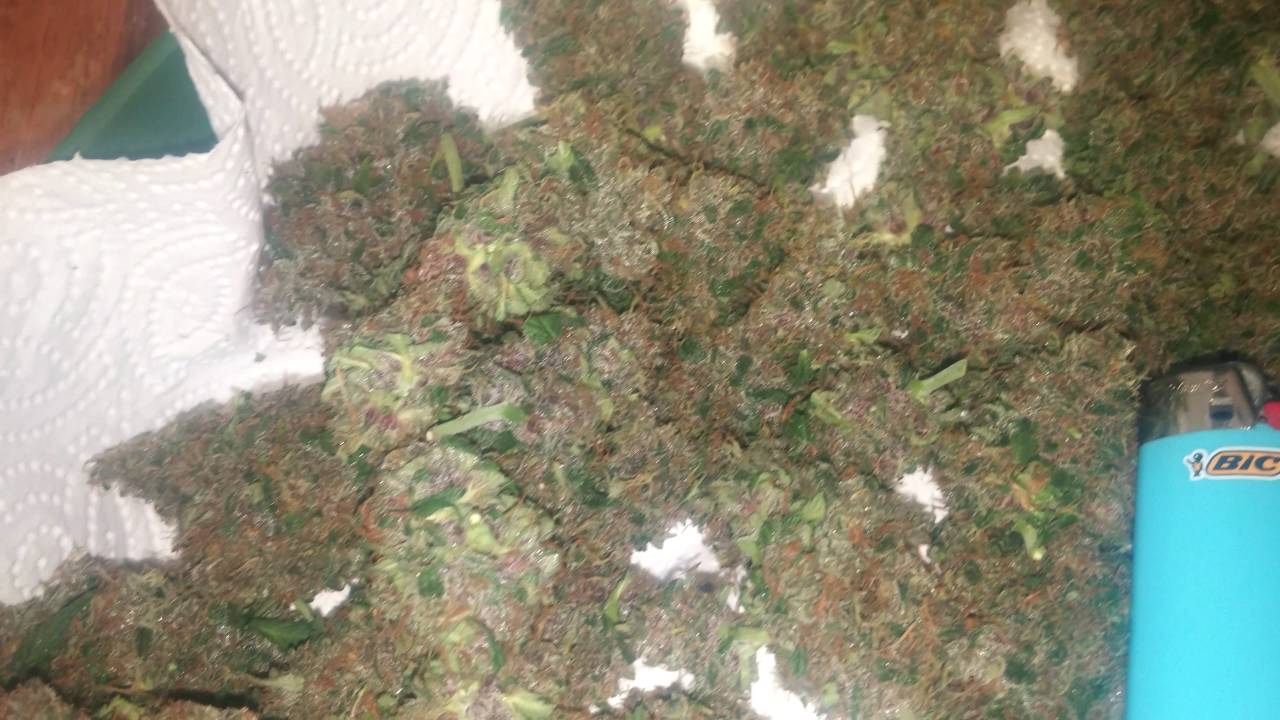Fastbuds Fastberry - 3rd and final plant harvested