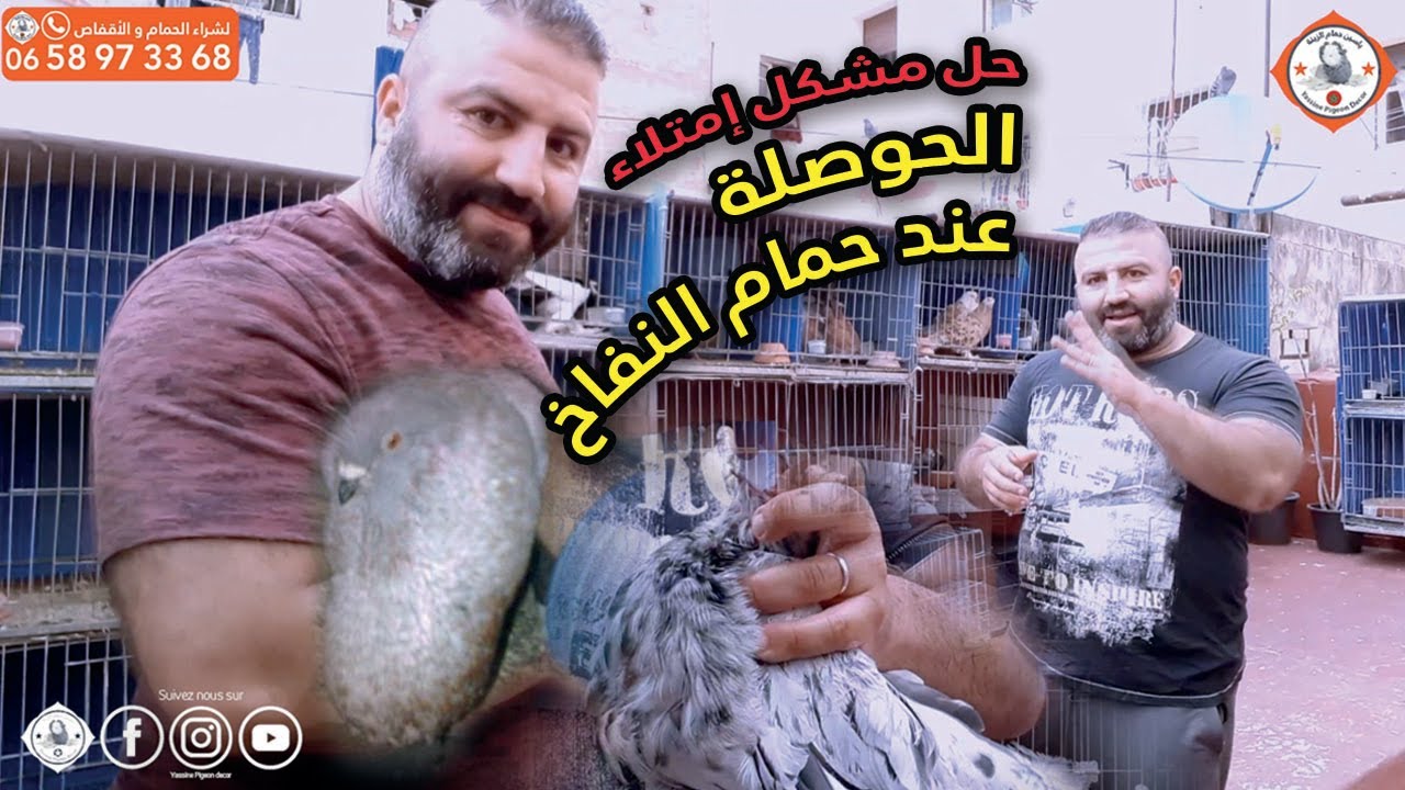 😍💪💥✅حل مشكل إمتلاء الحوصلة عند حمام النفاخ
