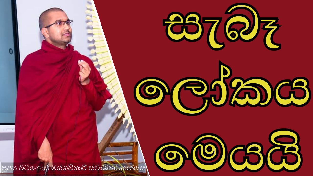 සැබෑ ලෝකය මෙයයි 🌍 | 