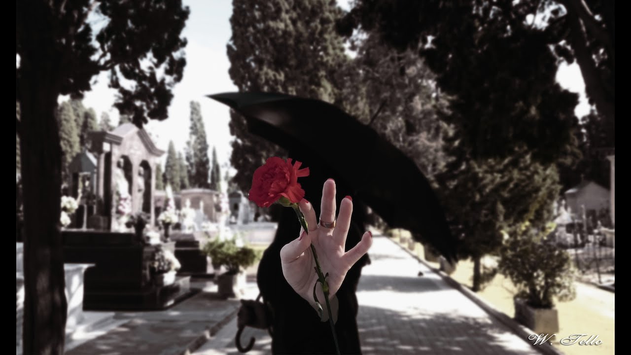 Sesión Fográfica: Cementerio de San Fernando  (Sevilla)