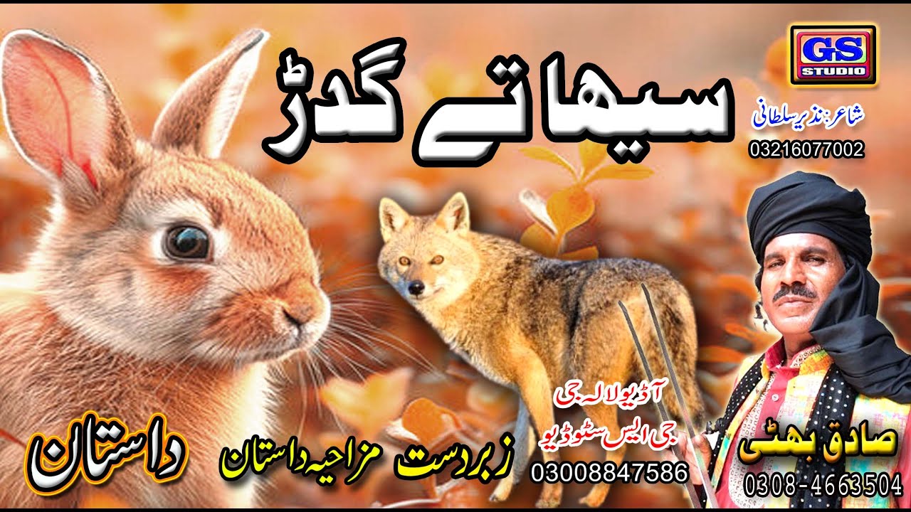 Lok Dastan | سیہا تے گدڑ | Lok Virsa Dastanr | Seha Te Gidad | Fankar Sagiq Bhatti Baag Mor Wala |