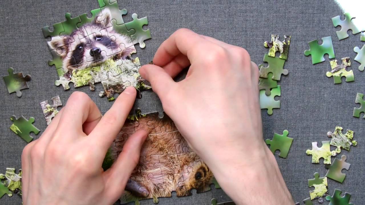 Asmr jigsaw puzzle (binaural)