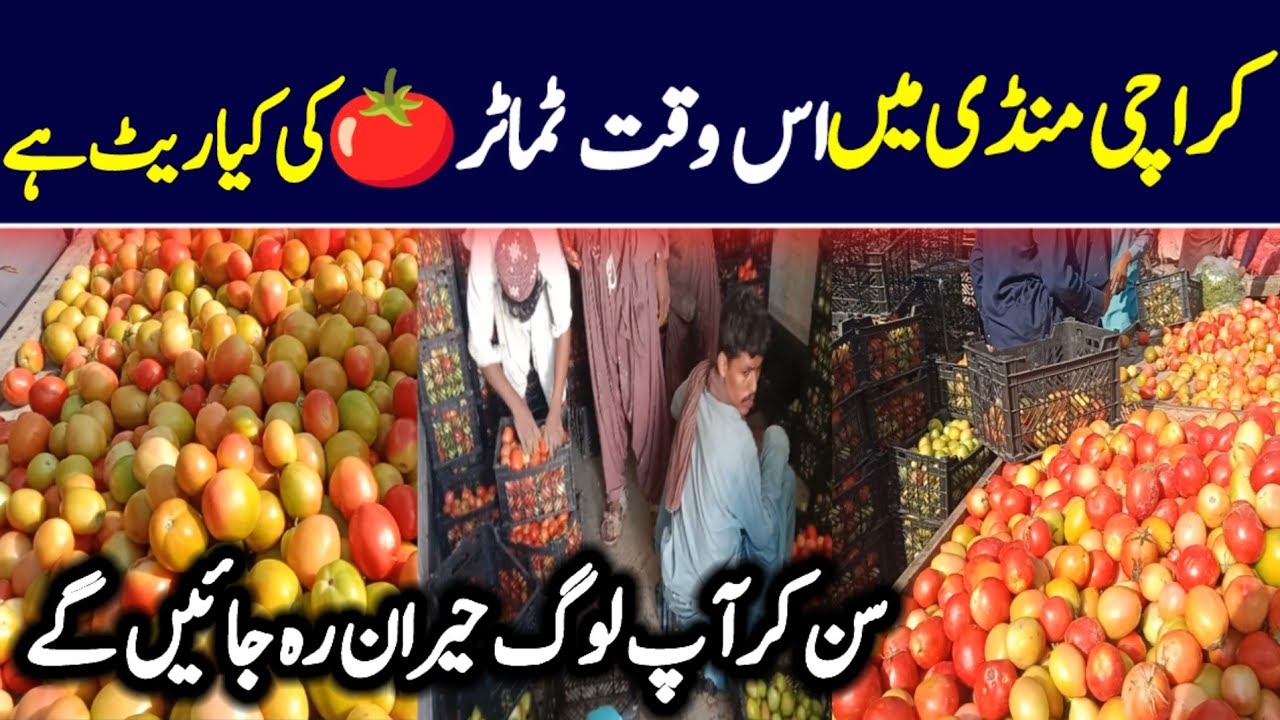 karachi sabzi mandi rates today | tamater rates today 