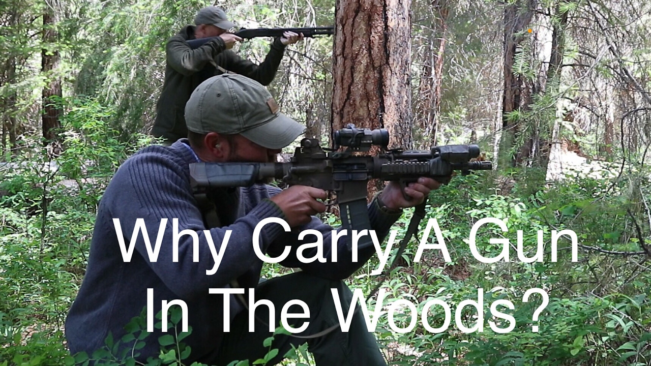 Why Carry A Gun In The Woods? Do I really need a firearm in the Wilderness?