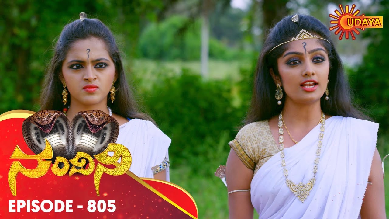Nandini - Episode 805 | 27th Nov 19 | Udaya TV Serial | Kannada Serial