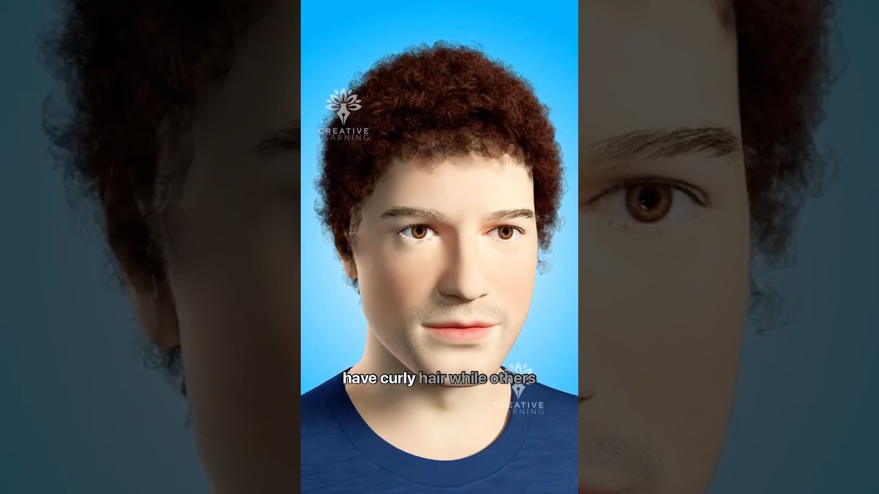 Why Do Some People Have Curly 😮Hair  #short  - Creativelearning3d