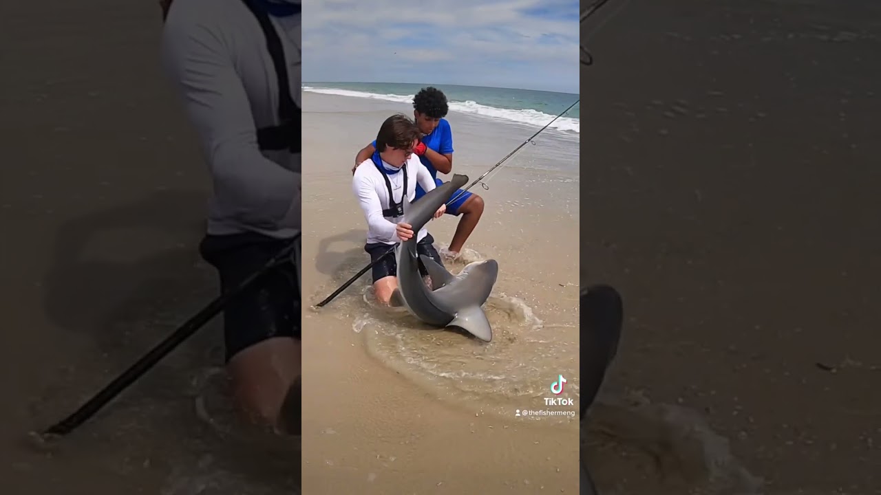 🔥 EXTREME LANDBASED SHARK FISHING 🔥