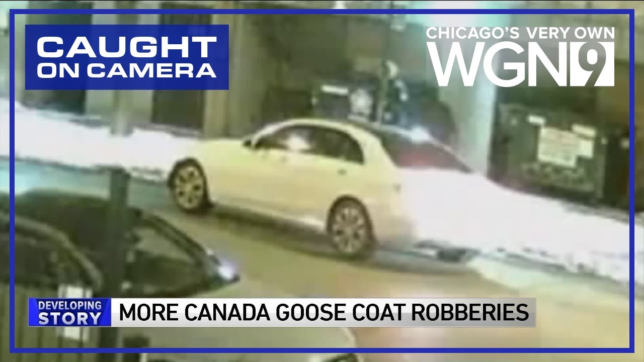 Surveillance video captures Canada Goose coat robbery in South Loop