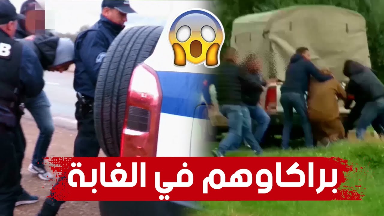 بطريقة هوليودية.. شاهد كيف أطاحت قوات BRB بشبكة إجرامـ..ية دولية بالشلف  وهذا ما عثروا عليه!