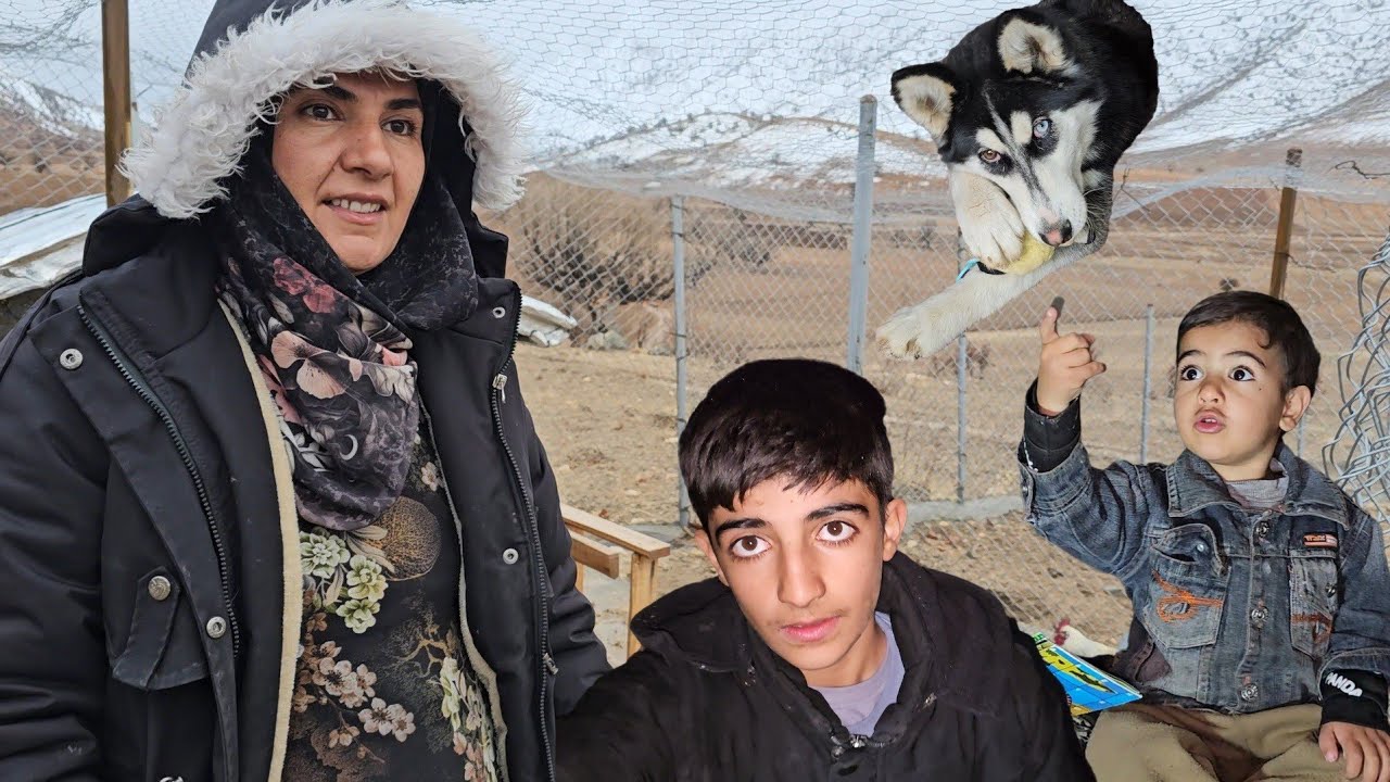 Смогли бы вы пережить один день в горах вместе с этой отважной семьей?