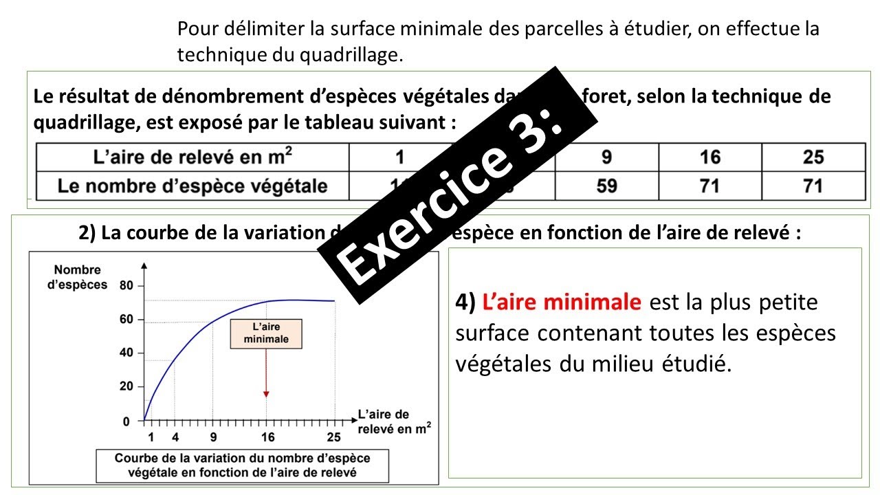 Exercice 3 : L'aire minimale / Sortie écologique : Raisonnement scientifique