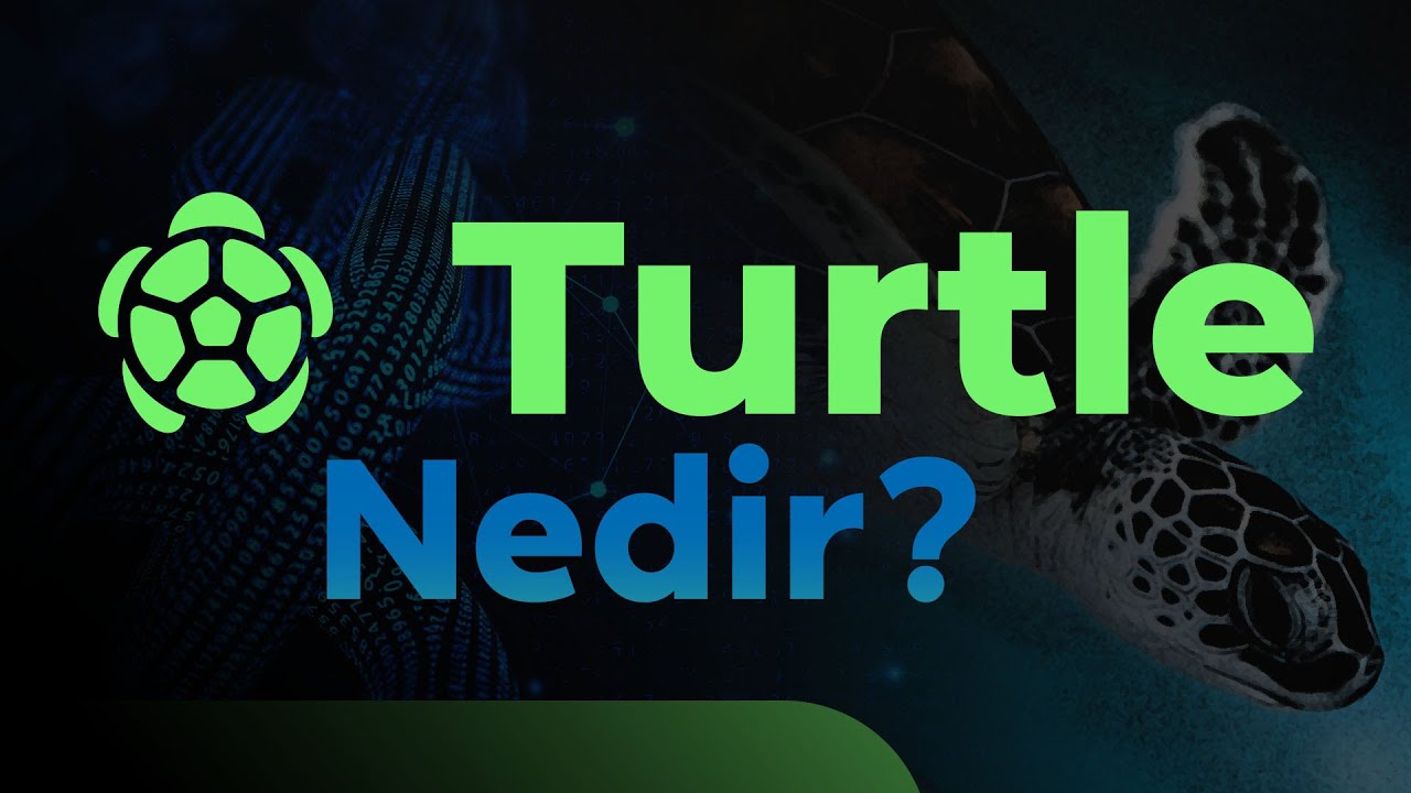 🐢 Turtle (TURTLE) Nedir? DeFi&rsquo;de Likiditeyi &Ouml;d&uuml;le D&ouml;n&uuml;şt&uuml;ren Protokol