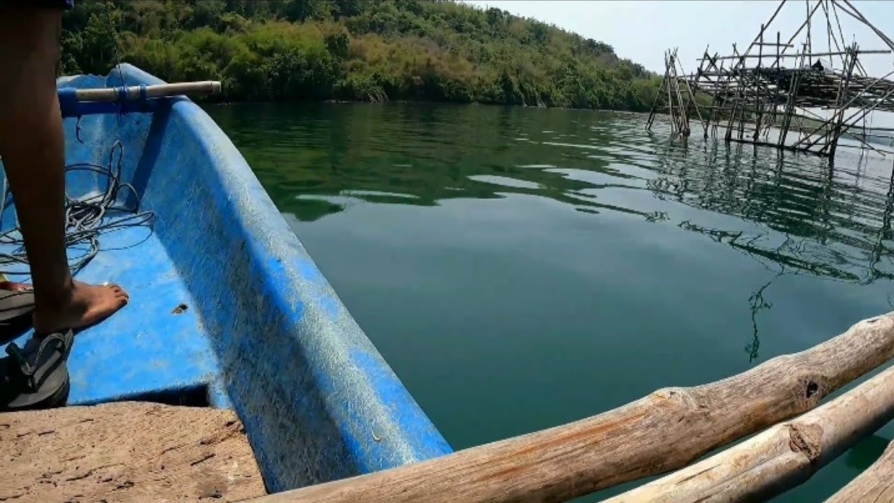 Panen strike di bawah bagang bambu | spot sembulungan Muncar Banyuwangi