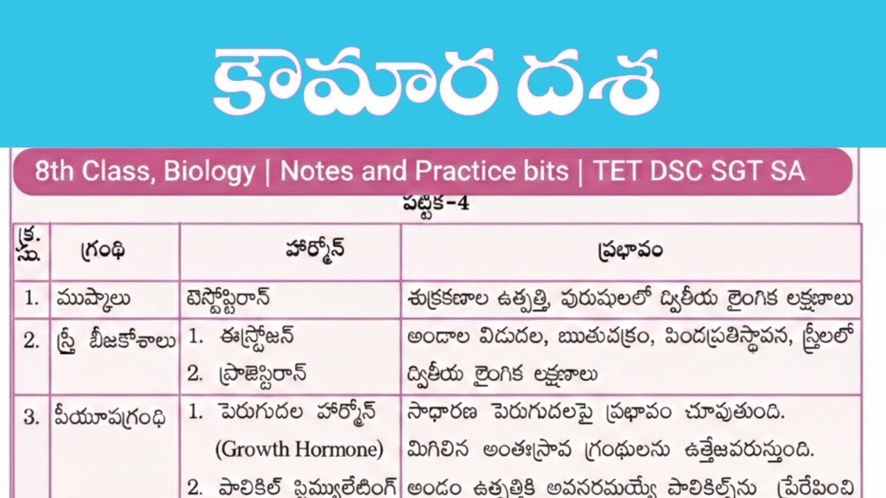 కౌమార దశ, 8th biology, NOTES AND PRACTICE BITS,TET DSC SA SGT 