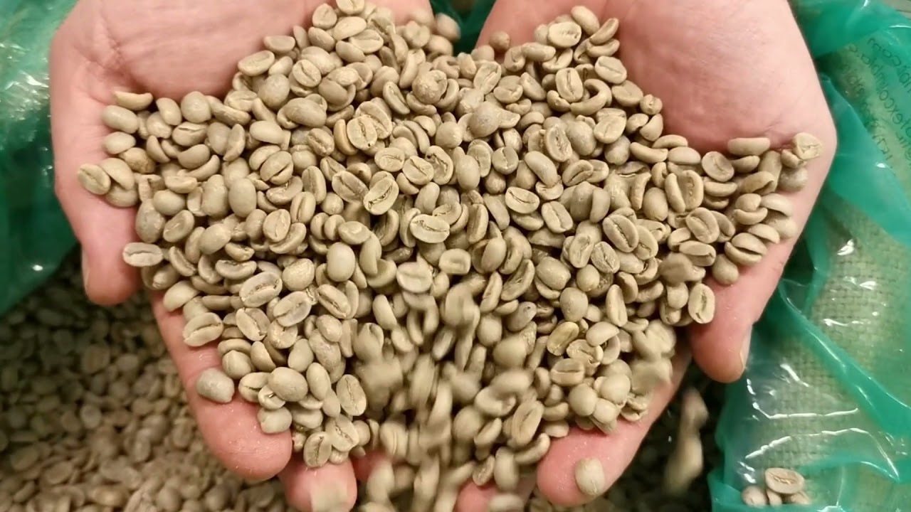 Waar komen onze koffiebonen vandaan? Wie verbouwt de koffie en wat gebeurt er na het oogsten?