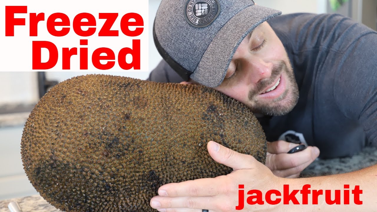 Freeze Drying the Largest Fruit Known to Man #freezedriedfruit