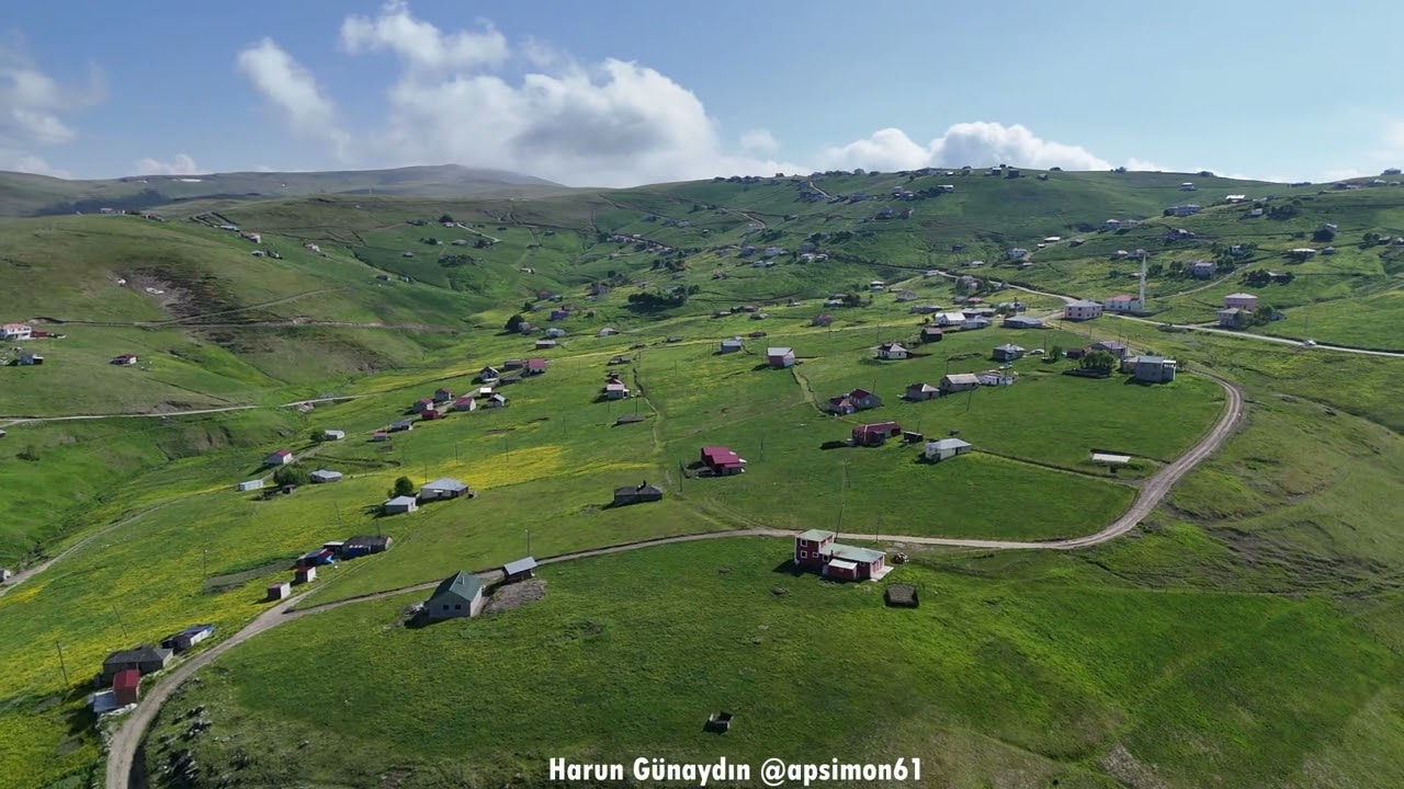 Derinoba Yaylası   TONYA   05 06 2025