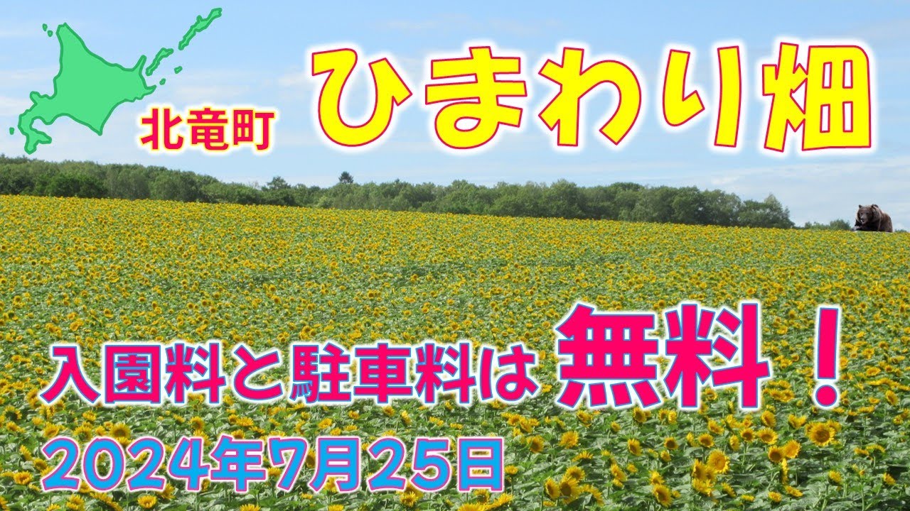北海道 北竜町 「ひまわりの里」と道の駅売店 産地直送  激安野菜！