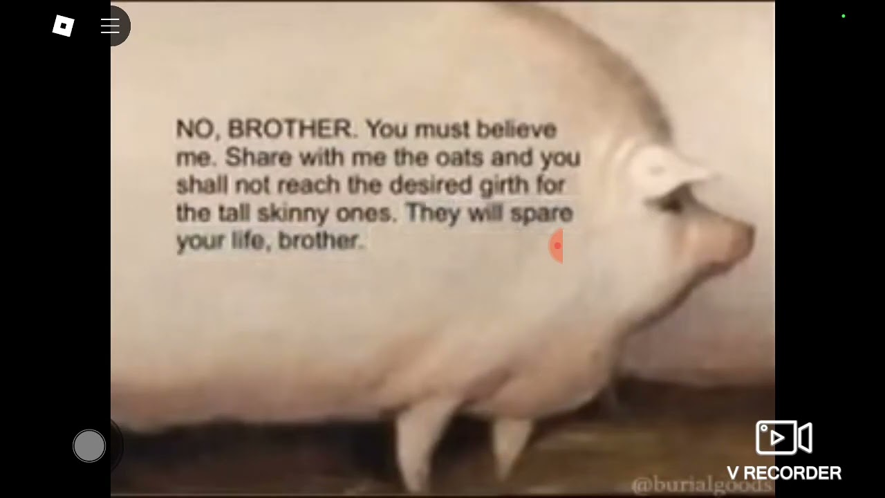brother may I have some oats meme (roblox)