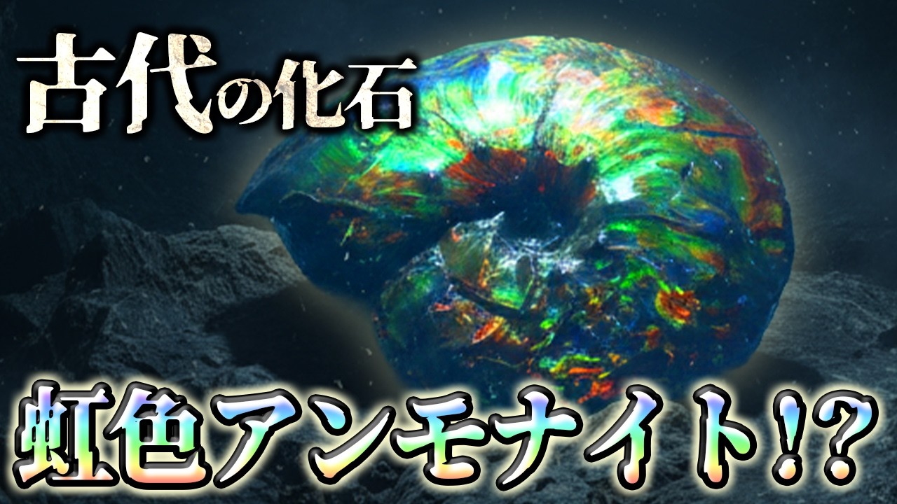 【ゆっくり解説】キラキラ輝くアンモナイト！？化石が現代で評価される理由