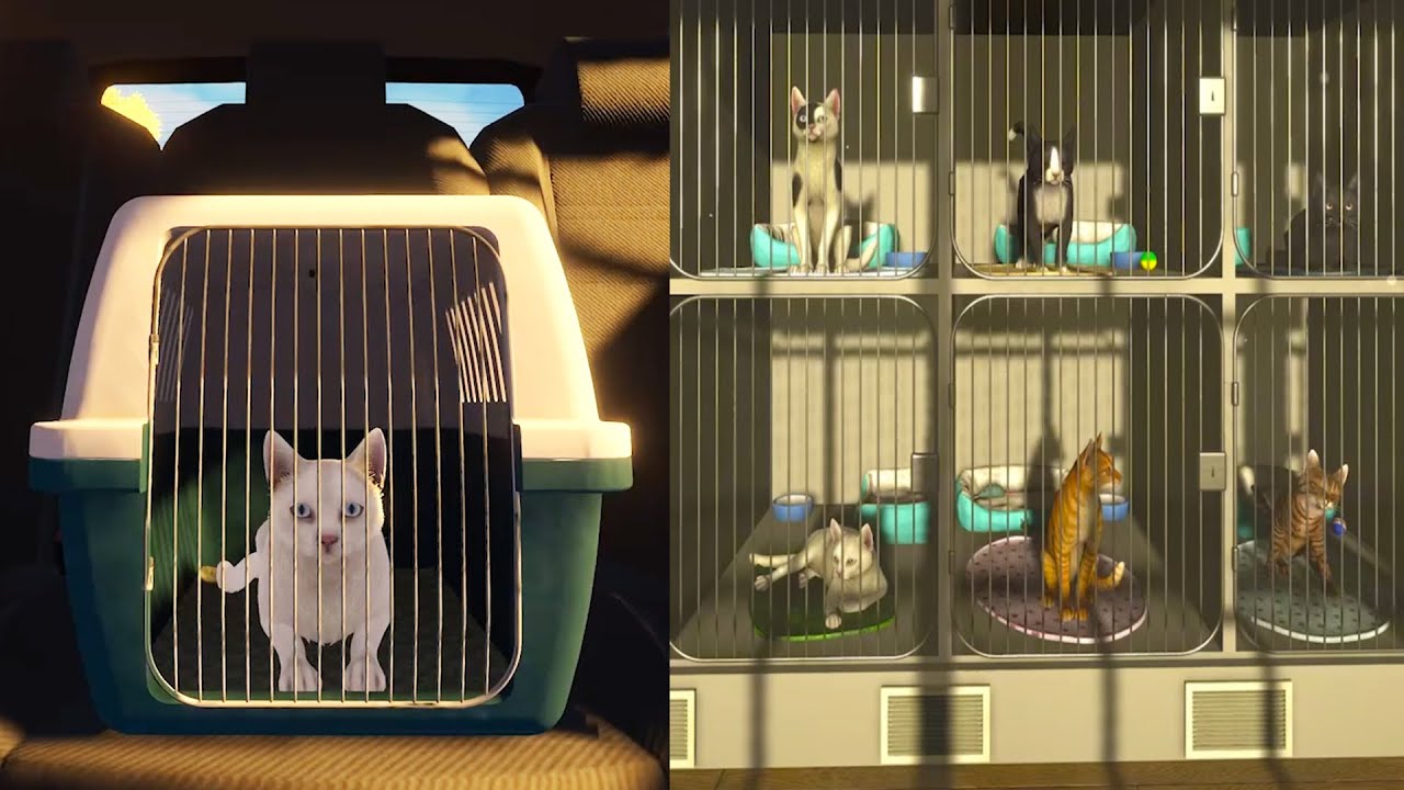 Adopting A New Cat ( CopyCat DEMO )