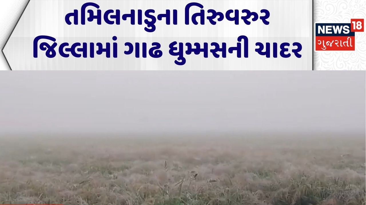 Tamil Nadu Foggy Weather | તમિલનાડુના તિરુવરુર જિલ્લામાં ગાઢ ધુમ્મસની ચાદર | Summer | Tiruvarur