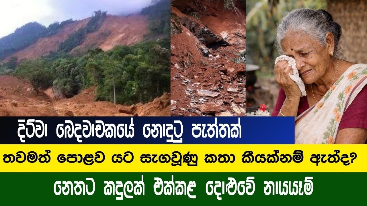 නෙතට කදුලක් එක් කළ දොළුවේ නායයෑම 2025-12-22 |දිට්වා ඛෙදවාචකයේ නොදුටූ පැත්තක් | Landslides😭😭
